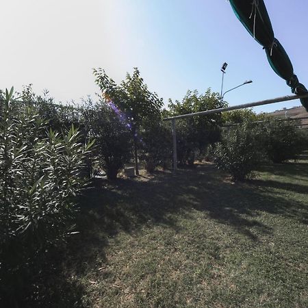 Heliopolis Camping & Village Pineto Buitenkant foto